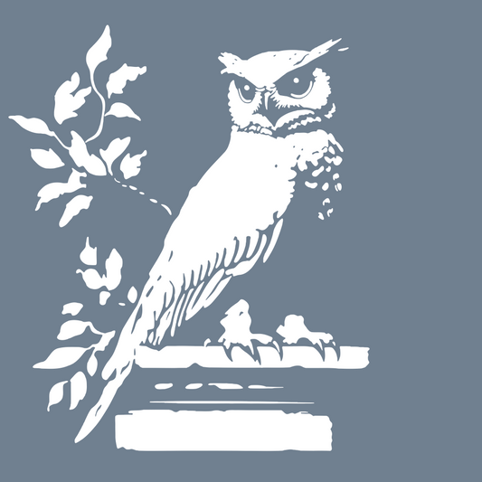 Athena Owl